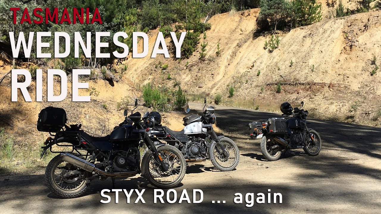 Wednesday Ride Tasmania - Styx Big Trees again