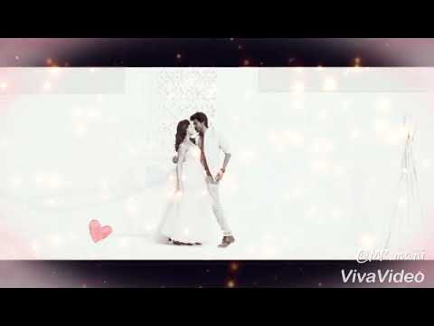 Velaikaran Songs Whats App Status