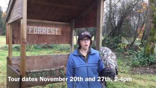 Spotted Owl Breeding Facility Tours