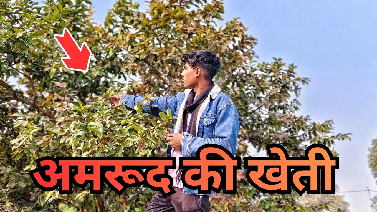 🌾 – गाँव की असली ज़िंदगी | Kumar Sunil Vlogs |