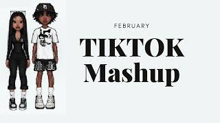 February 14 TikTok Mashup Valentine's day