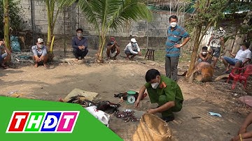 Công an Tiền Giang bắt quả tang 22 đối tượng đá gà ăn tiền | THDT