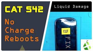 CAT S42 Waterdamage Repair? Not Charging, Reboots Only For Data