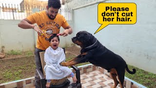 Rottweiler love his little friend | try not to laugh | Rotweiler Dog |