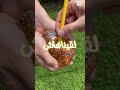 ابقى خاليها تنفعك بقا   سمعها