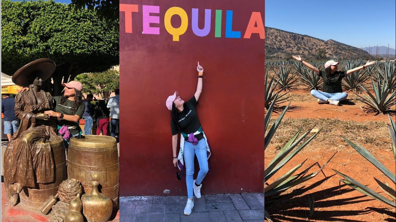 Tequila Tours, Guadalajara | DestiMap | Destinations On Map