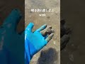 【ジャンボタニシ】苗を食べられたので、手植えしました!