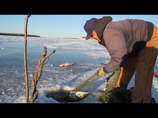 Fishing Nets under the Ice in Northeast China-Traditional Ice Fishing #2 