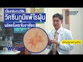 Thai subtitles allergen test and vaccine  research impact mahidol world