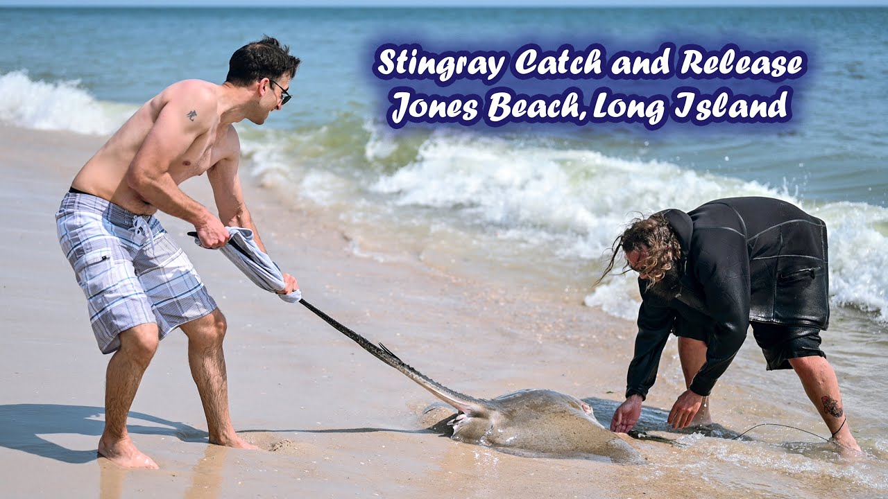 Stingray Catch and Release, Jones Beach, Long Island