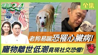 藍心湄曾被愛犬咬破相易喘咳嗽不是感冒 5成老狗罹心臟病狗突跛腳當心關節異位寵物離世低潮竟然成現社交恐懼健康2.0 20230225【完整版】江坤俊 韋汝 崔佩儀 李維維 戴更基 姚勝隆 雷議宗