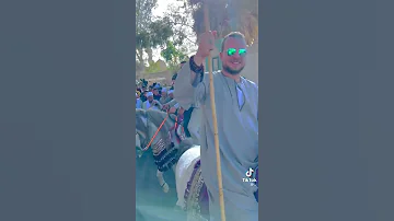 مولد سيدى عبدالرحيم القناوي 