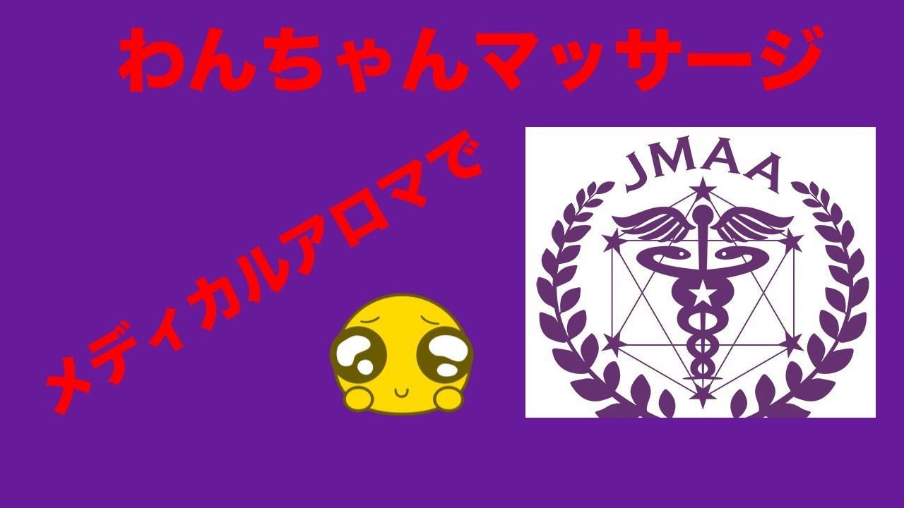 メディカルアロマでペットマッサージ ペットにも安全な精油で癒してあげてね。スキンケアにも最適 YouTube