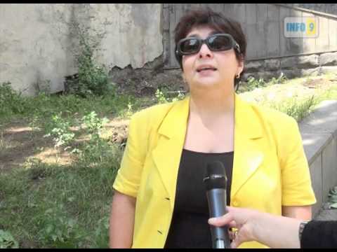 ხეების  ჩეხვა გრძელდება