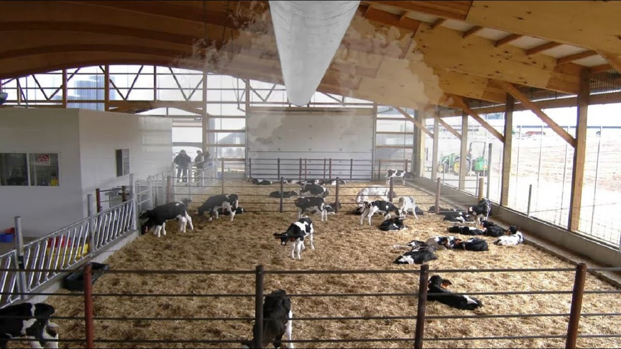 VideoCast Individual Tube Ventilation System for Barns 