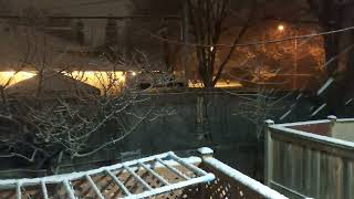 Night-Time Spring Snow in Toronto 