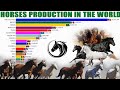 Os Maiores Rebanhos de Cavalos do Mundo