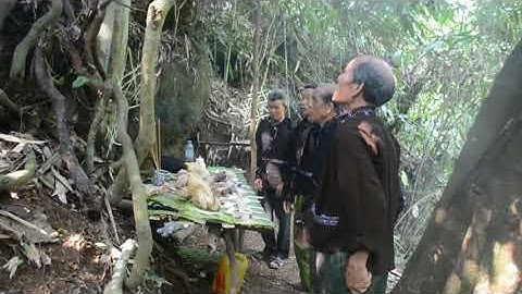 Lễ Cúng rừng dân tộc Lự || bản Nà Khum, xã Bản Hon, Tam Đường, Lai Châu