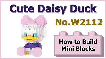 How to Build Mini Blocks Daisy Duck W2112 Review Instructions Specifications