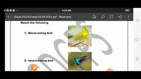 Grade 3 Evs Dated 23 09 2021 1