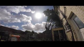Holm Oak Takedown Speke April 2017