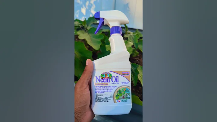 Neem oil spray for Plants !"Safest way To Use" #1bestseller on Amazon #organic #gardening