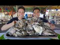 Philippines oyster mountain best filipino food  fresh eels in cebu