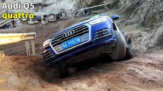China's Top Off-Road: Audi Q5 VS Great Wall H5, BJ40 Successfully Takes the Top! #offroad