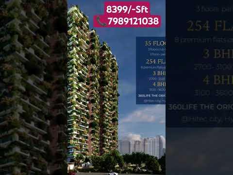 Life by 360