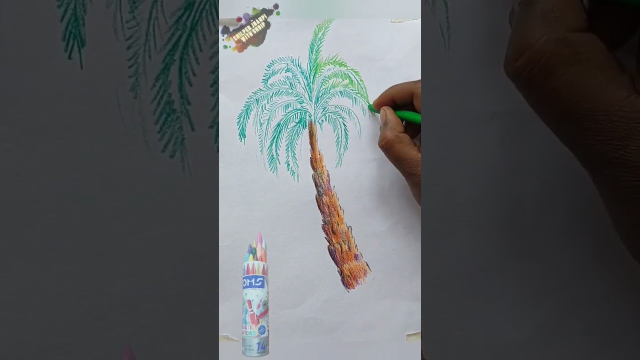 A Date Palm Tree Drawing with CRAYON Colour/Easy Tree Drawing 
