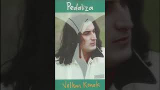 Volkan Konak - Ağasarın Balını