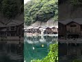 Traditional Houses of Japan #japantravel #asiantravel #travel