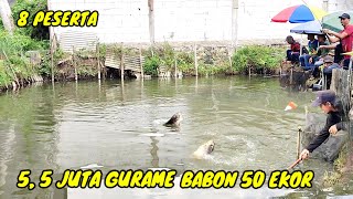 Tak Masuk Akal Kolam Sekecil Ini Di Borong 5.5 Juta‼️50 Ekor Gurame Babon