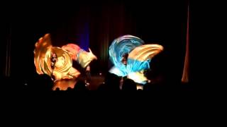 Technobellydance hafla2015