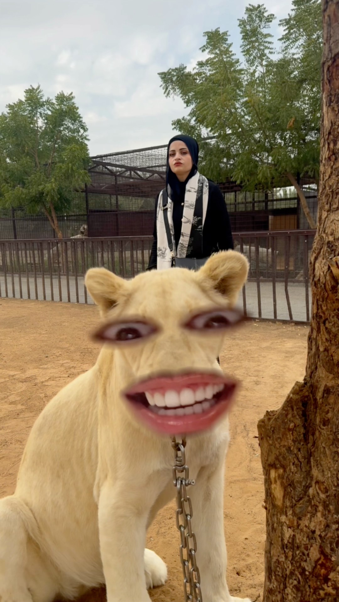 الاسد والبنت ?? ام سيف ونانو