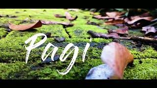 Pagi - Cinematic Video ( HP Android Oppo A5 2020 )