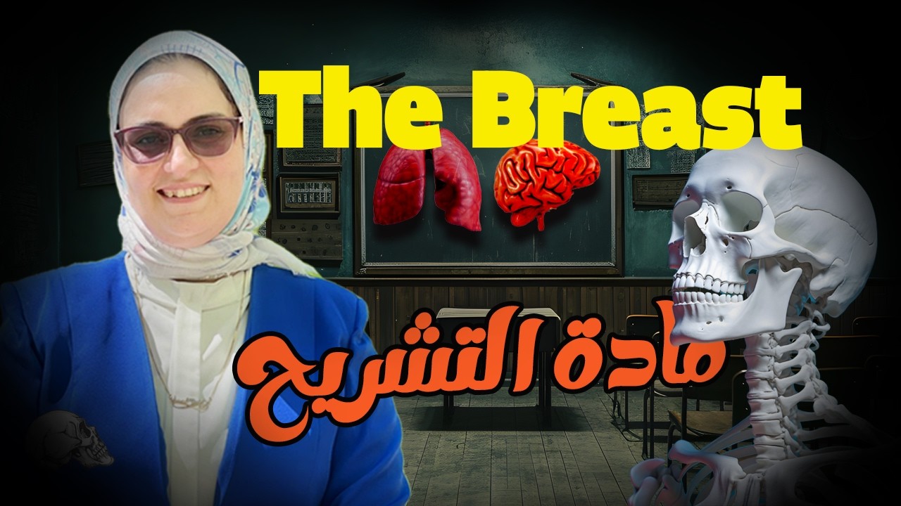 تشريح | The Breast (تشريح الثدي)
