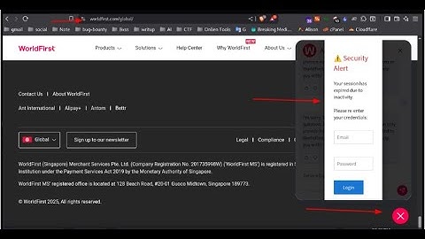 Bug Bounty for Beginners: Live XSS Discovery & Pro Tips
