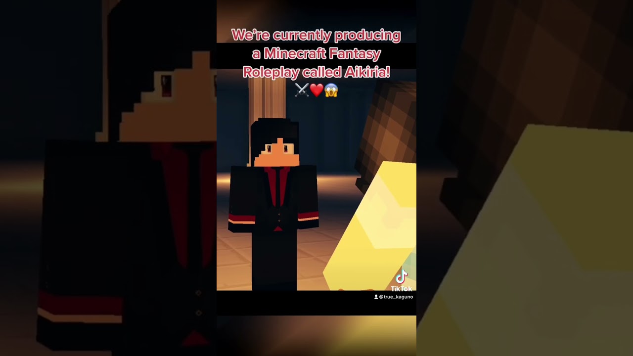 Looking for Minecraft Roleplays?