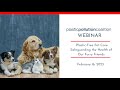 Plastic-Free Pet Care: Safeguarding the Health of Our Furry Friends