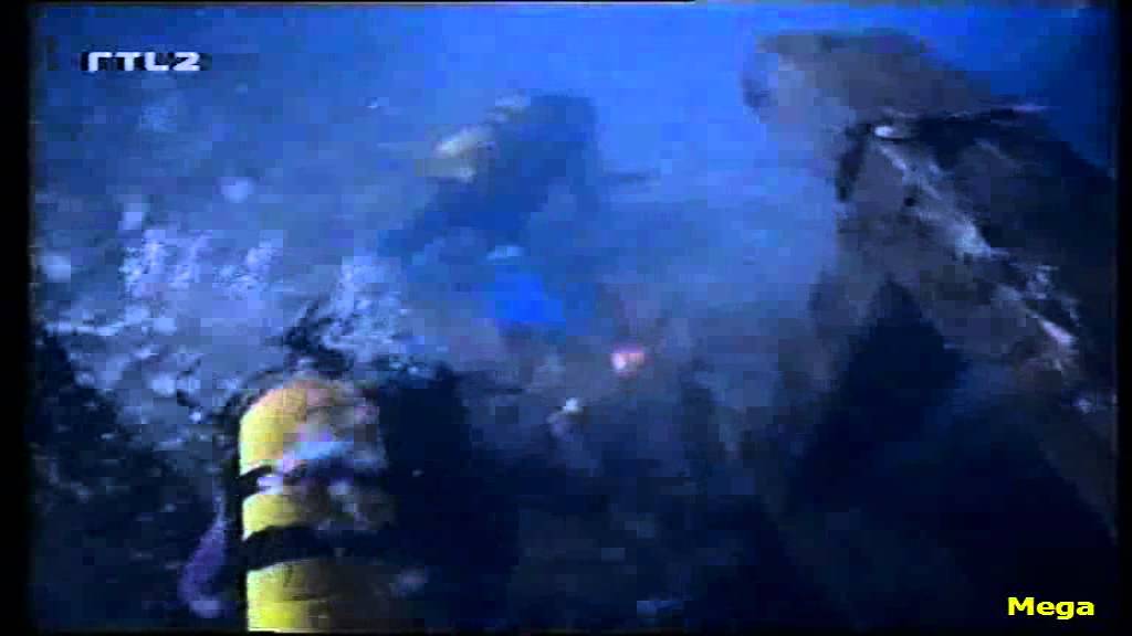 New Flipper - YouTube