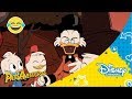 Patoaventuras: Conoce a la familia MCPato  |Disney Channel Oficial