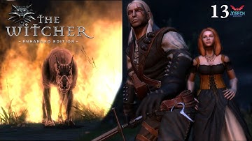 The Witcher [Enhanced Edition] Episode 13 : Of Monster & Man - The Beast