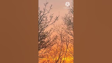 اقم الصلاةَ لدلوك الشمس🌸ايات عظيمة من سورة الاسراء🌸القارئ الشيخ احمد العجمي🌙⭐️