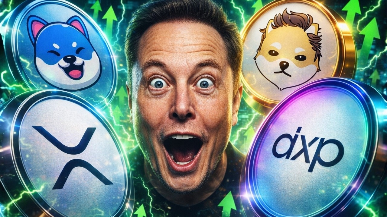 Эти монеты могут вырасти в 10 раз! Активность китов и подсказки для грамотного управления деньгами.