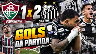 Fluminense 1 X 2 Santos gols da partida 