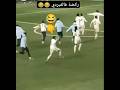 ركضة فالفيردي الجديدة