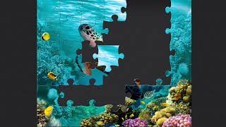 Bright Puzzle Mix screenshot 5
