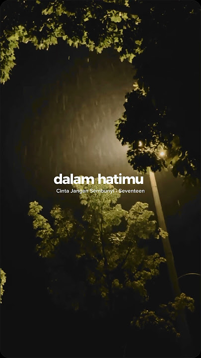 Cinta Jangan Sembunyi - Seventeen || STORY WA 30 DETIKK #shortvideo #galaustory #sadvibesstory #fyp