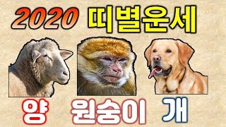 [신년운세] 2020 경자년 양띠 원숭이띠(잔나비띠) 개띠 운세는? / 연령별 띠 운세